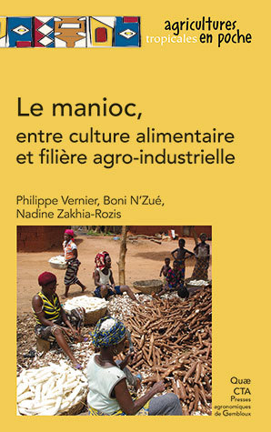 Le manioc, entre culture alimentaire et filière agro-industrielle - Philippe Vernier, Boni N’Zué, Nadine Zakhia-Rozis - Éditions Quae