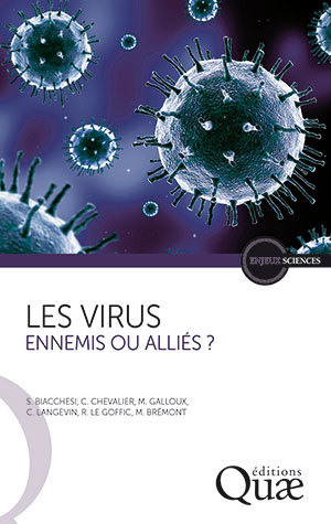 Les virus - Stéphane Biacchesi, Christophe Chevalier, Marie Galloux, Christelle Langevin, Ronan  Le Goffic, Michel Brémont - Éditions Quae