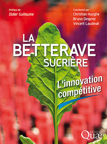 Sugar beet -  - Éditions Quae