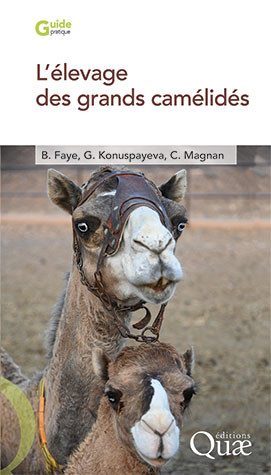 L’élevage des grands camélidés - Bernard Faye, Gaukhar Konuspayeva, Cécile Magnan - Éditions Quae